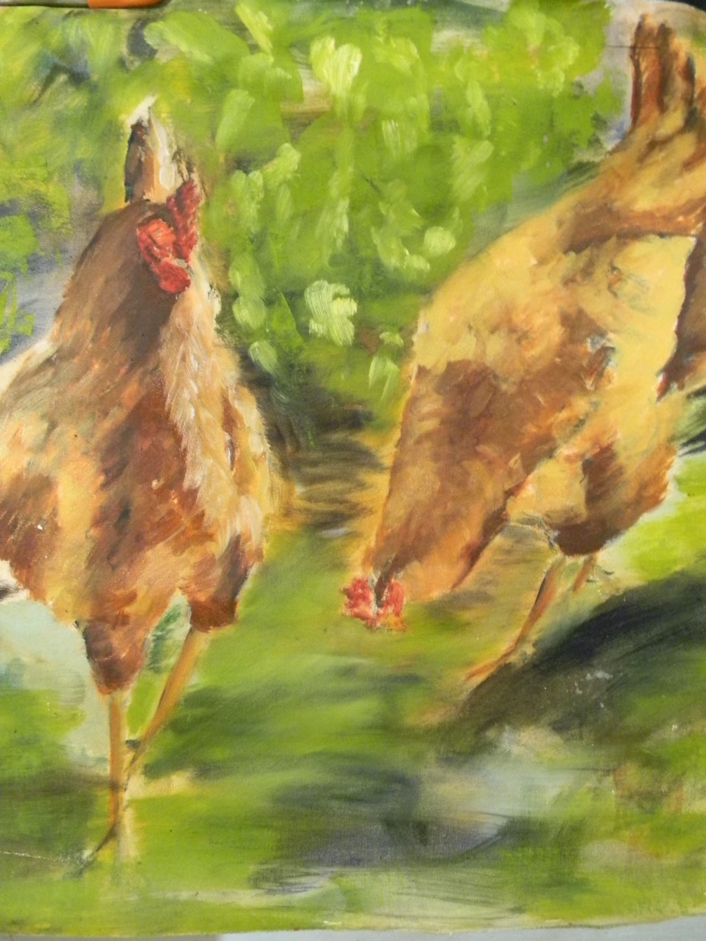 Chickens